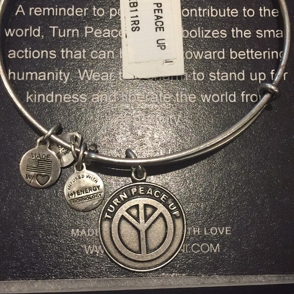 NWT Alex and Ani (+) ENERGY bracelet!! - Picture 2 of 4